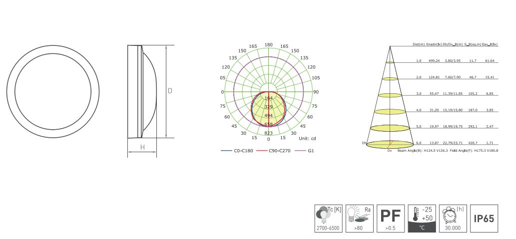 CP07A.JPG